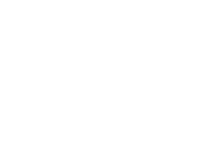 Logotipo da optidados cliente da Agência publicidade e design Raízes